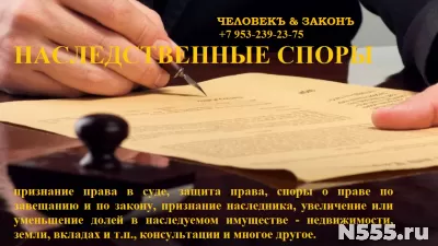 адвокаты юристы
