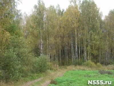 Дом для постоянного проживания в д.Селевино 20 км от Клин фото 10