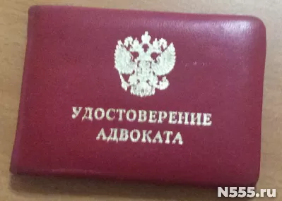 Адвокат в уголовном и арбитражном процессе